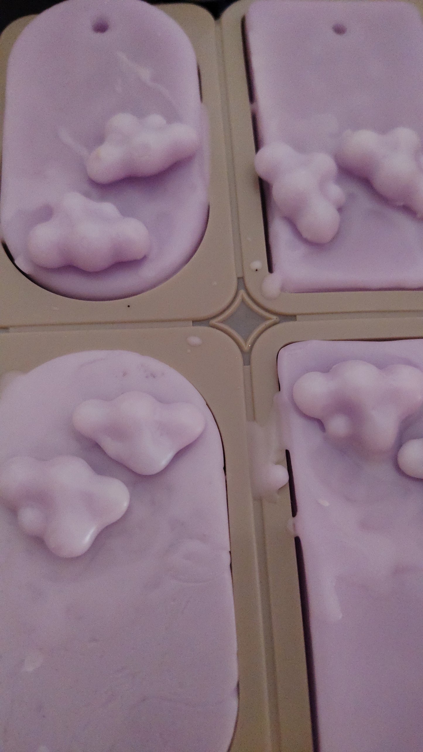 Wax sachets